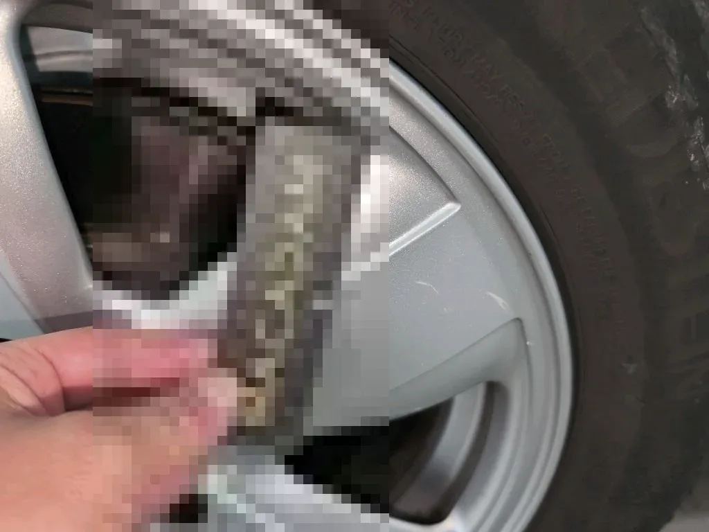 Dommages constatés