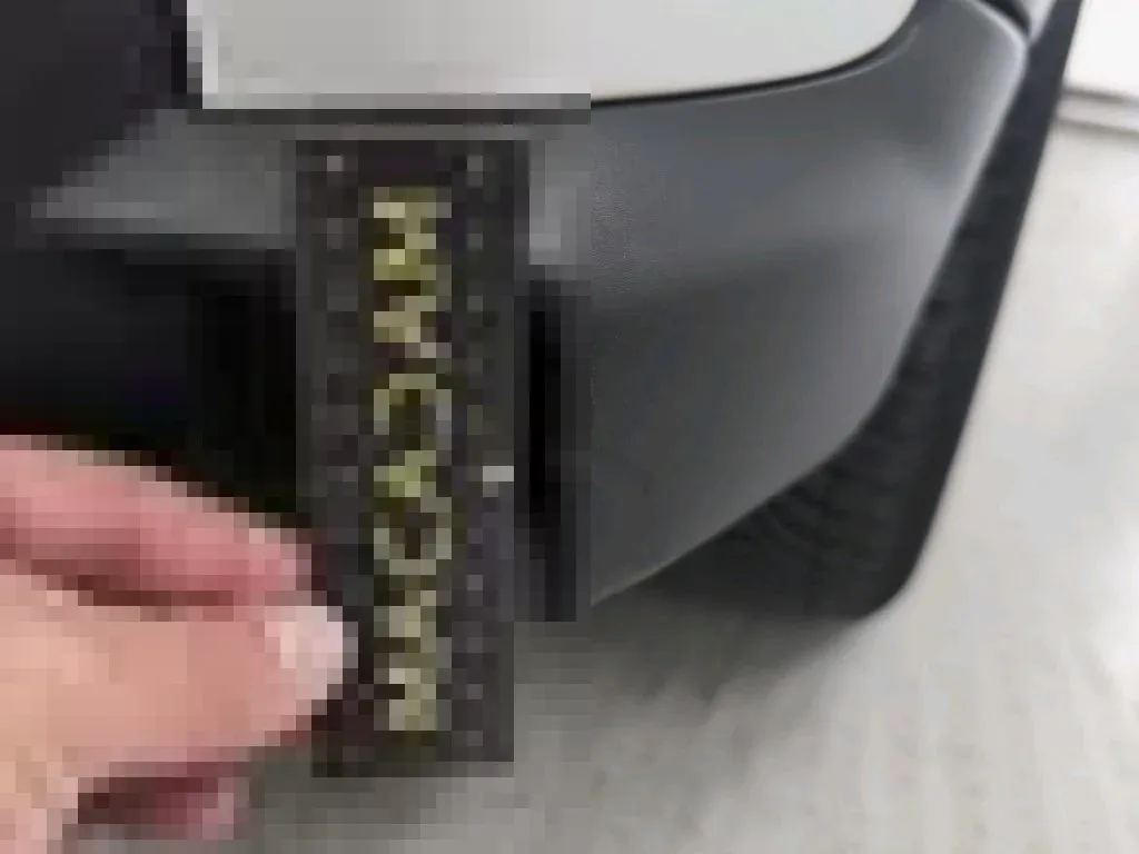 Dommages constatés