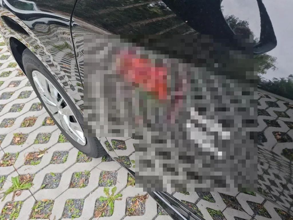 Vastgestelde schade