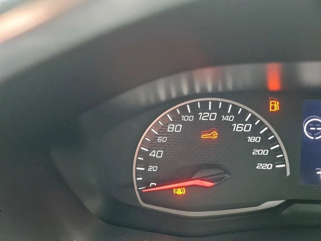 Vastgestelde schade