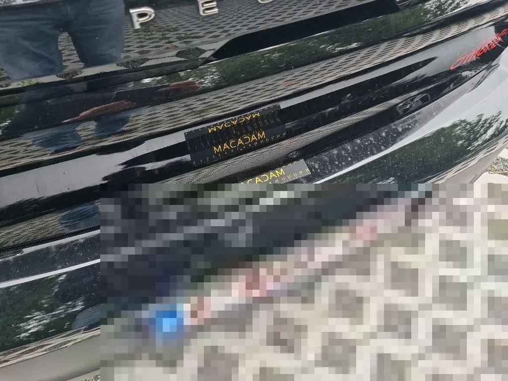 Vastgestelde schade