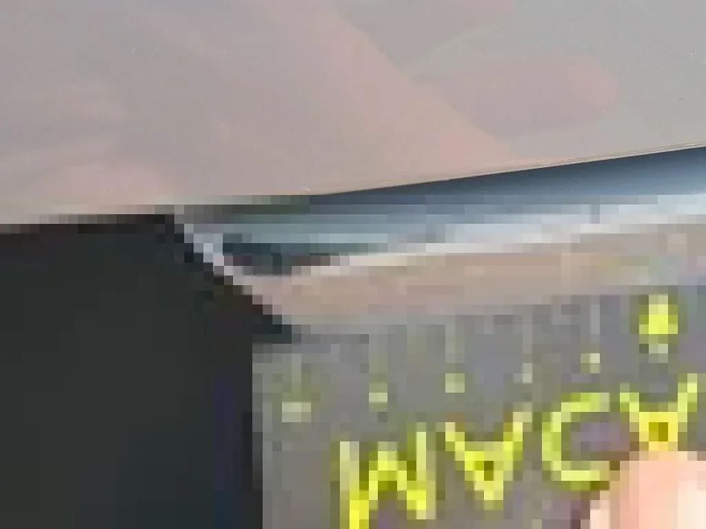 Vastgestelde schade