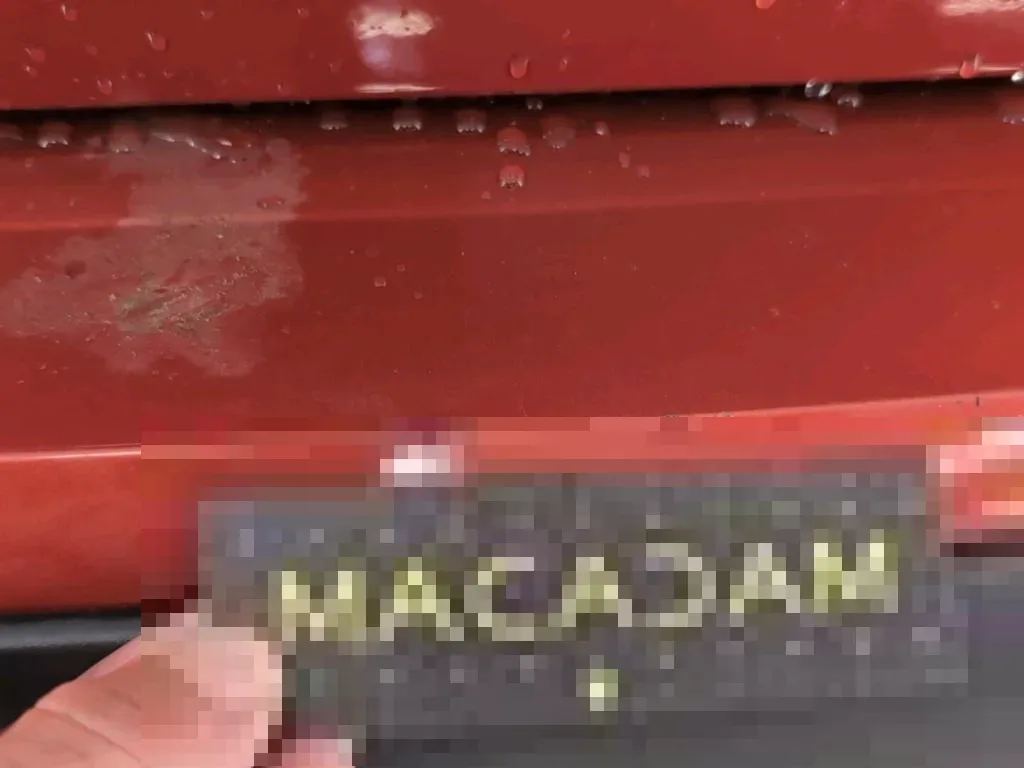 Vastgestelde schade
