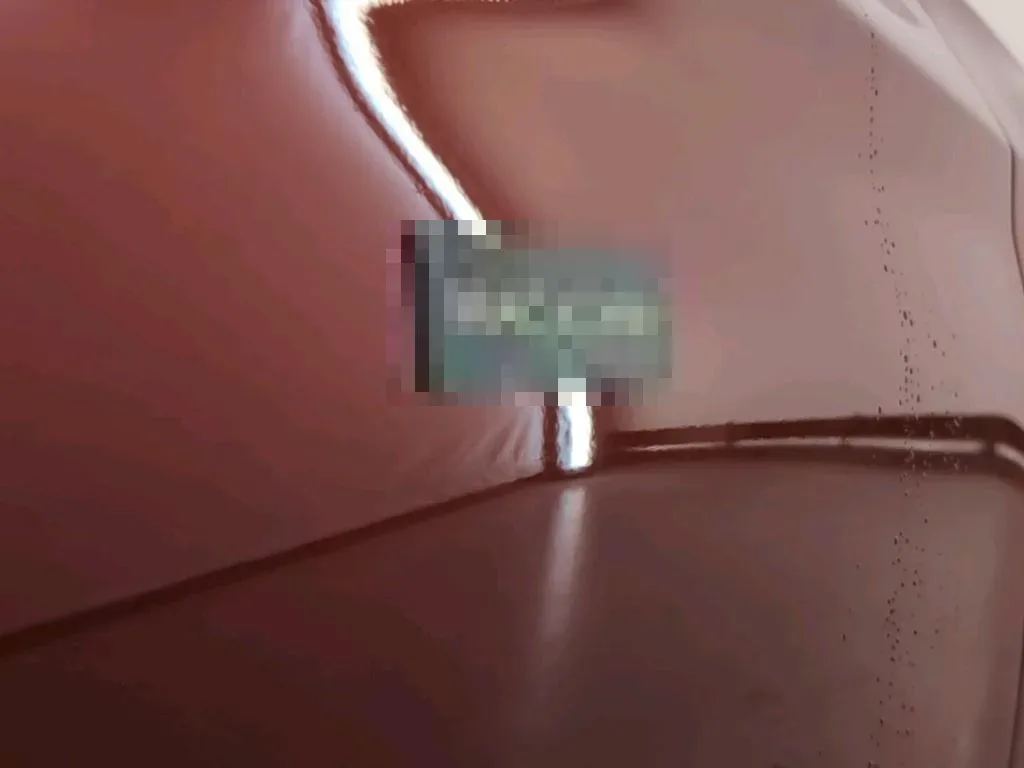 Vastgestelde schade