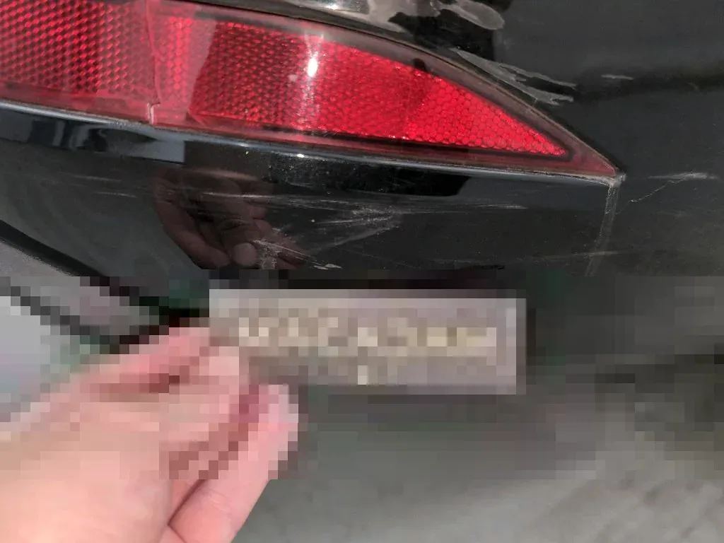 Vastgestelde schade