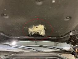 Reported damage