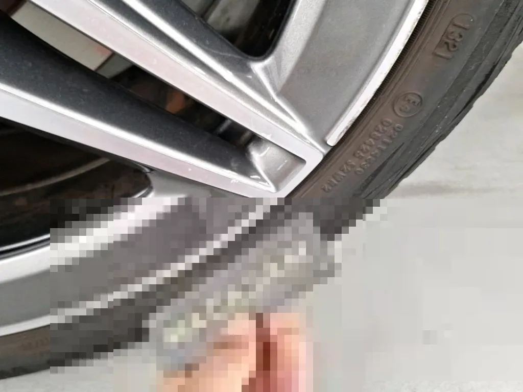 Vastgestelde schade