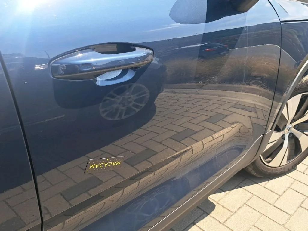 Vastgestelde schade