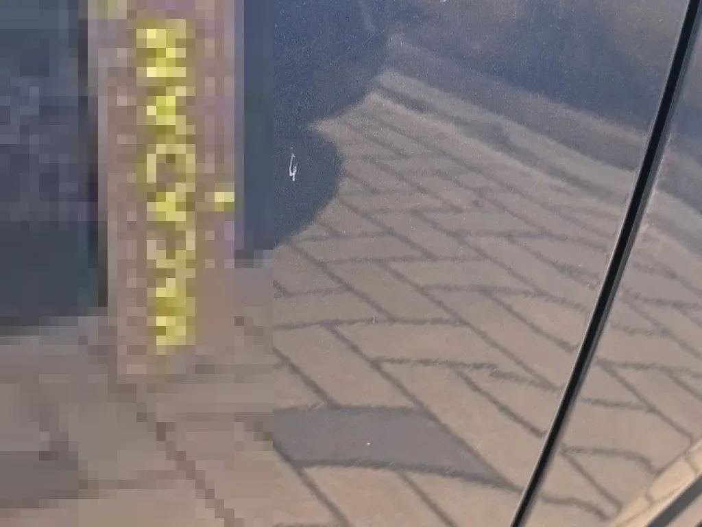 Vastgestelde schade