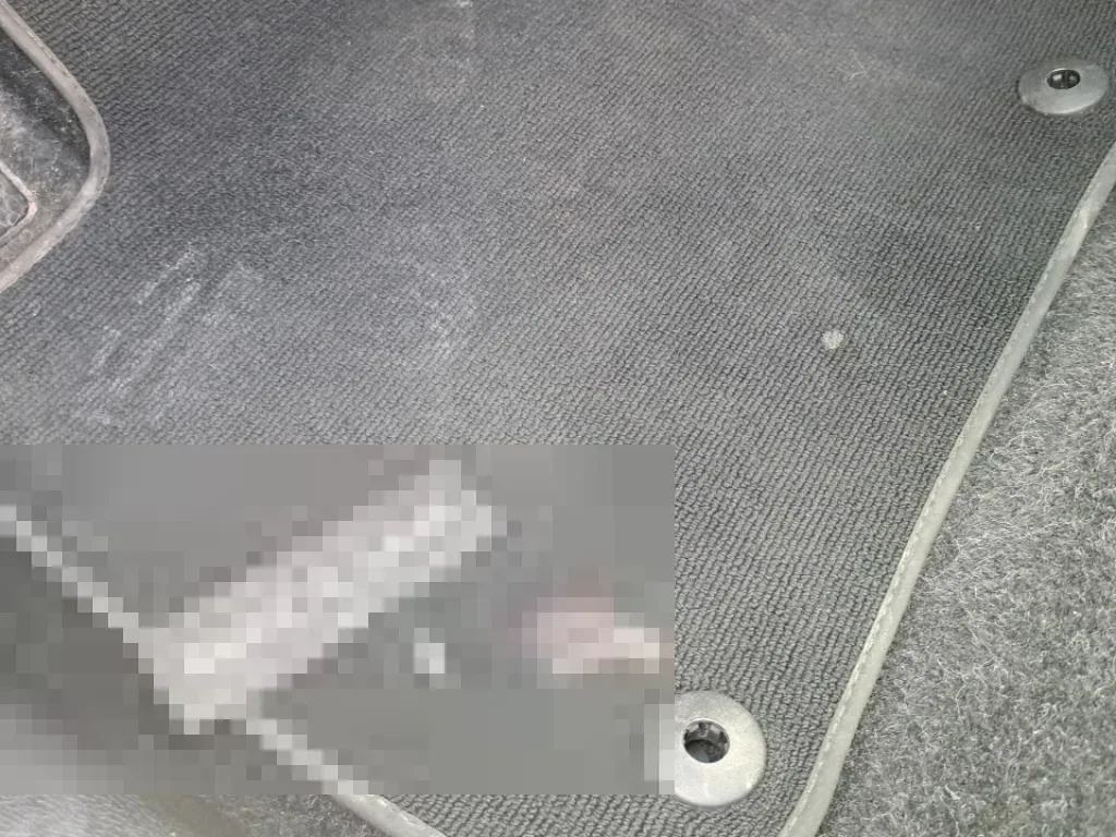 Vastgestelde schade