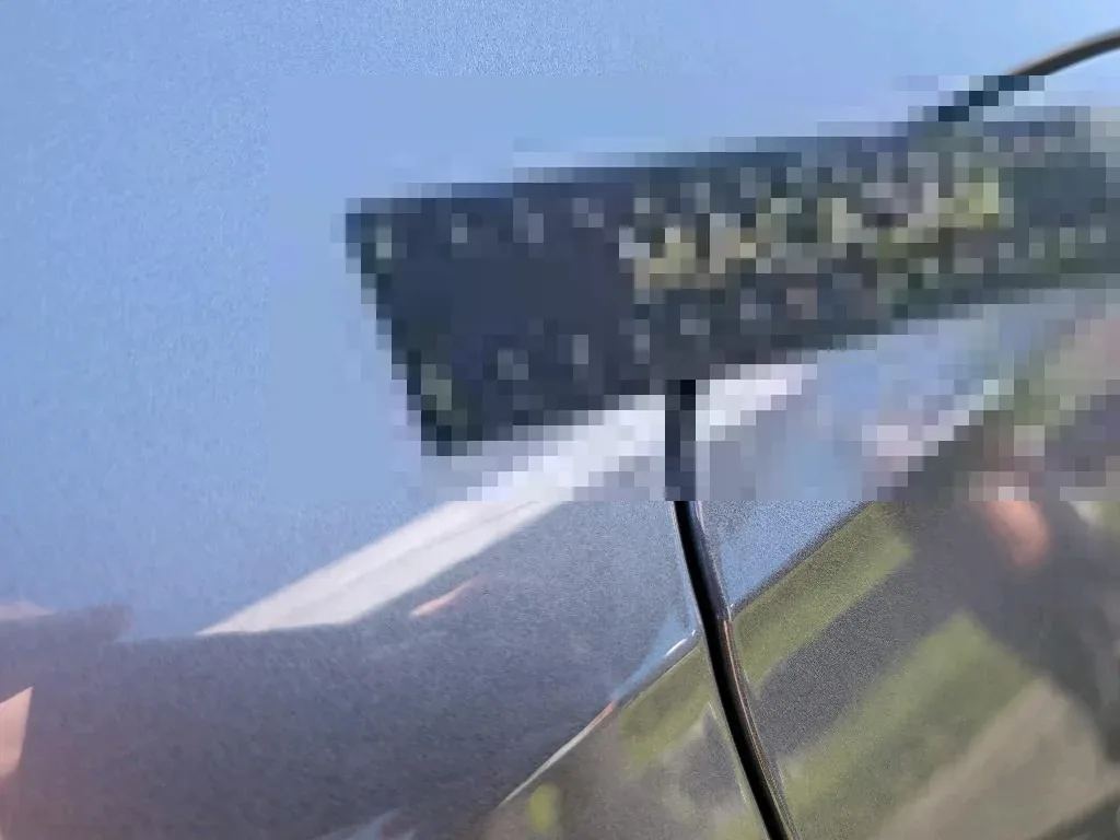 Dommages constatés