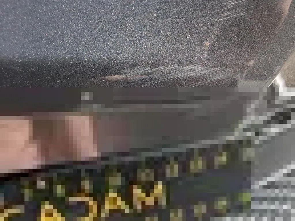 Dommages constatés
