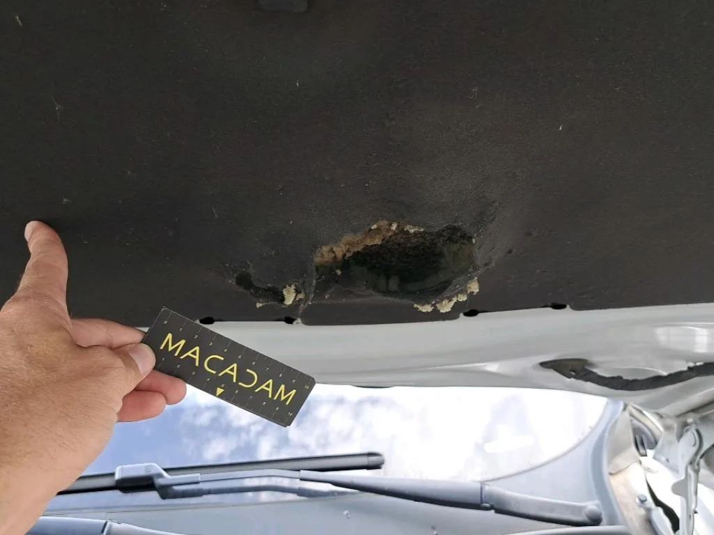 Reported damage