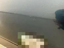 Vastgestelde schade