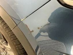Vastgestelde schade