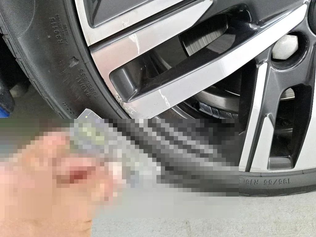 Vastgestelde schade