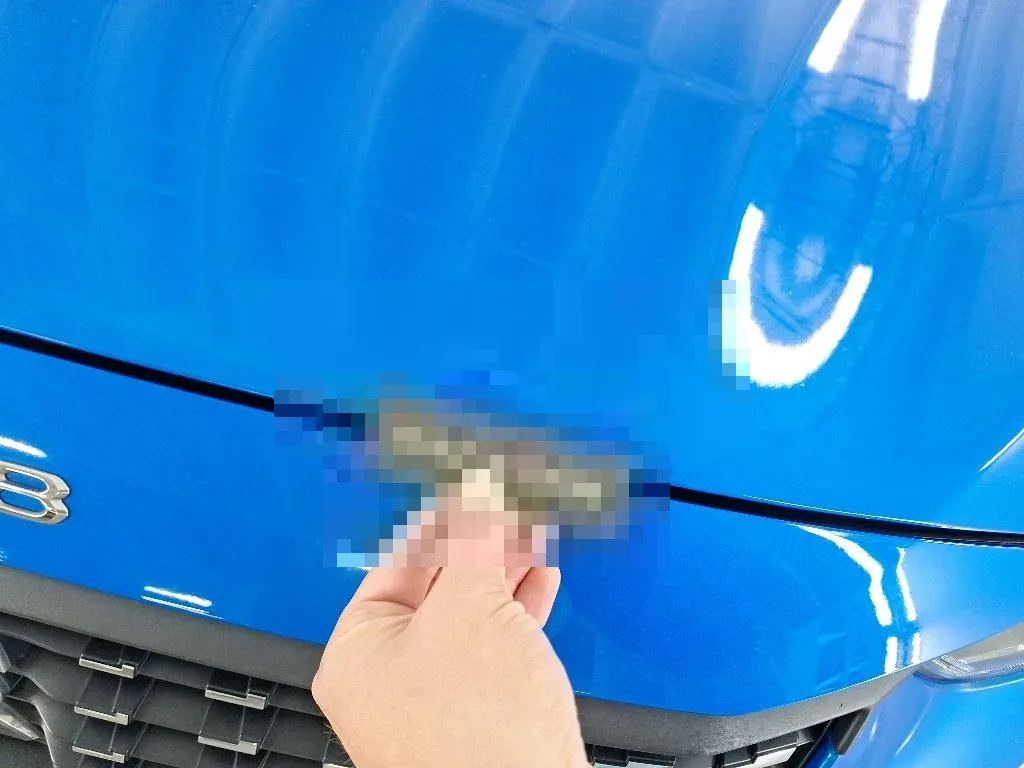 Vastgestelde schade