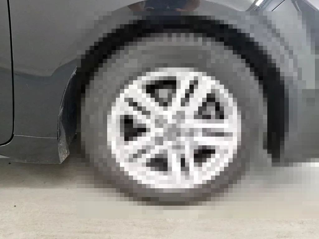 Vastgestelde schade