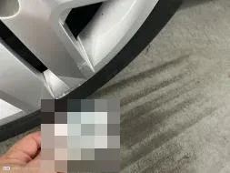 Vastgestelde schade