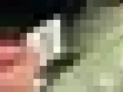 Dommages constatés