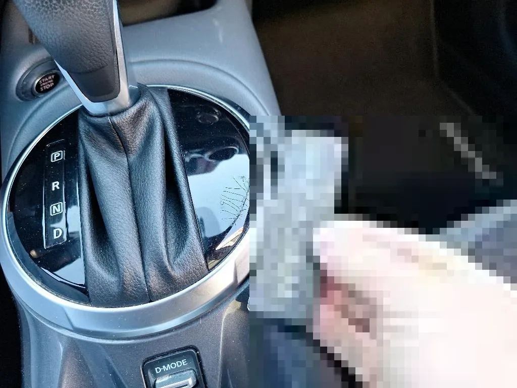 Dommages constatés
