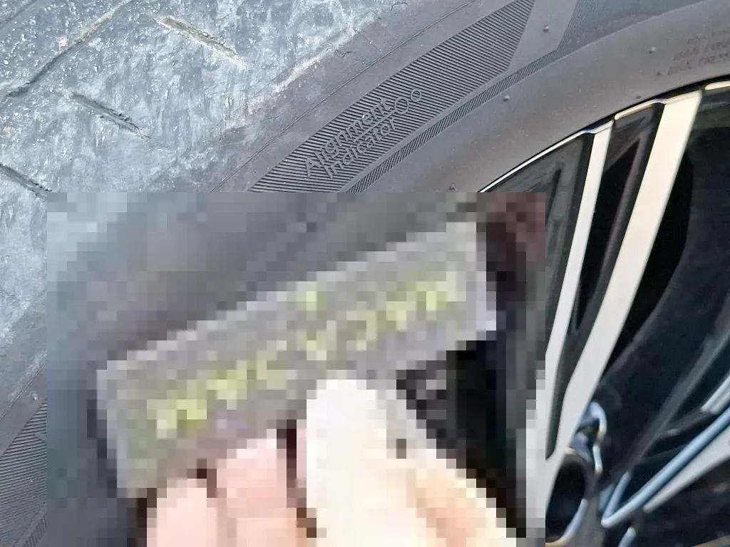 Dommages constatés