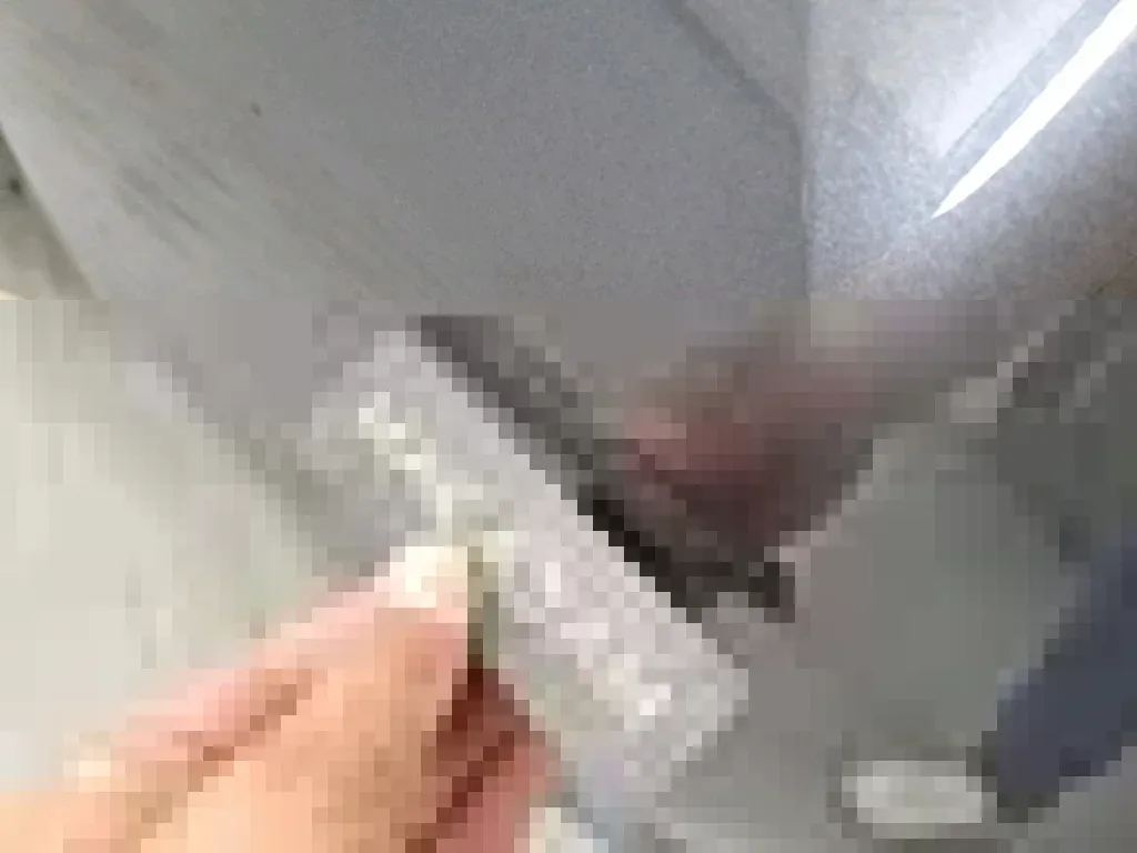 Reported damage