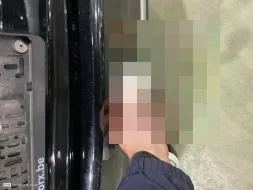 Reported damage