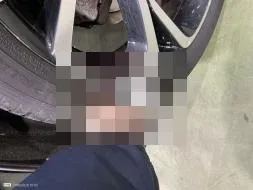 Reported damage