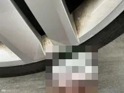 Vastgestelde schade