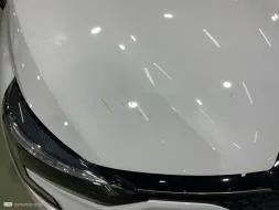 Reported damage