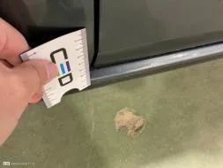Reported damage