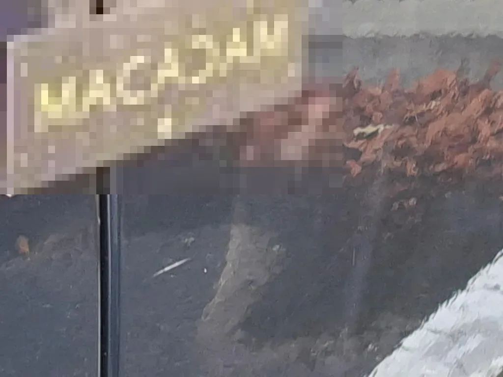 Vastgestelde schade