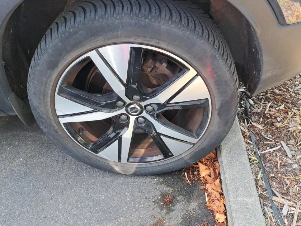 Vastgestelde schade