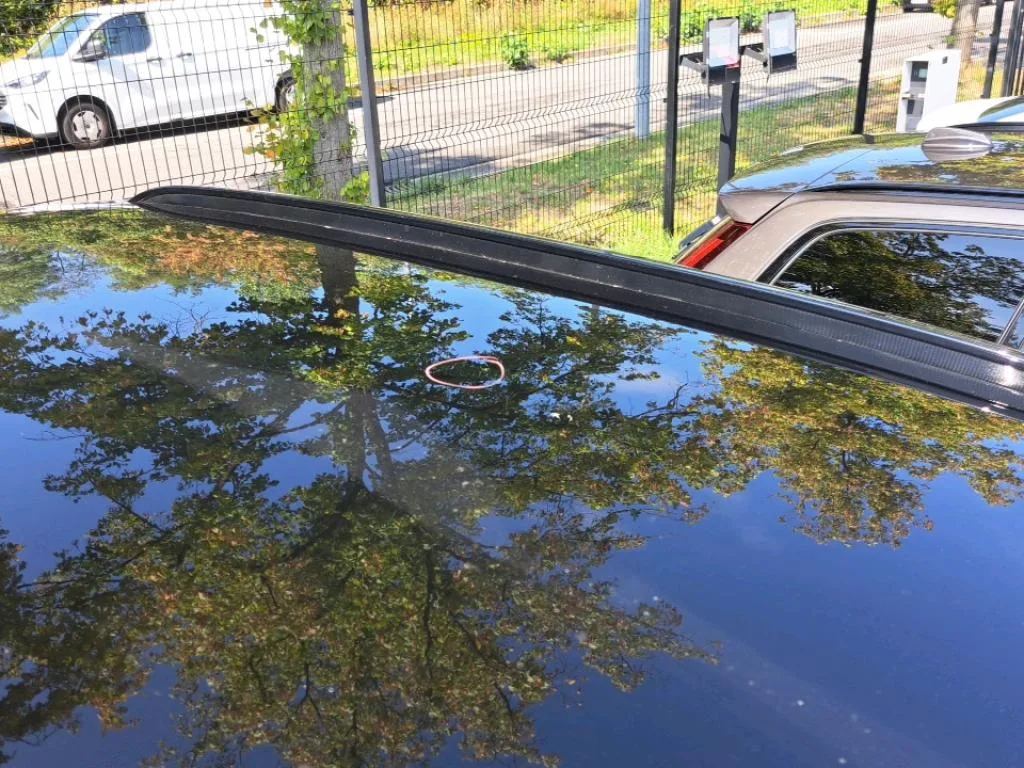 Vastgestelde schade