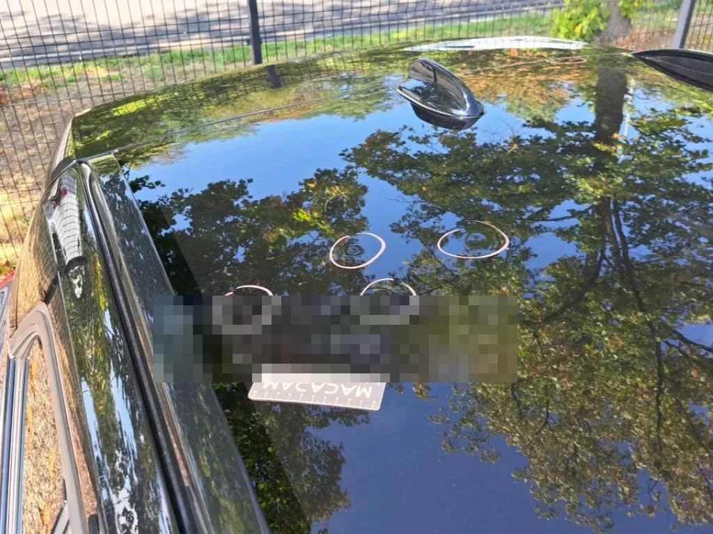 Vastgestelde schade