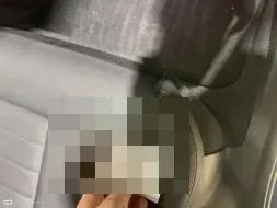 Reported damage
