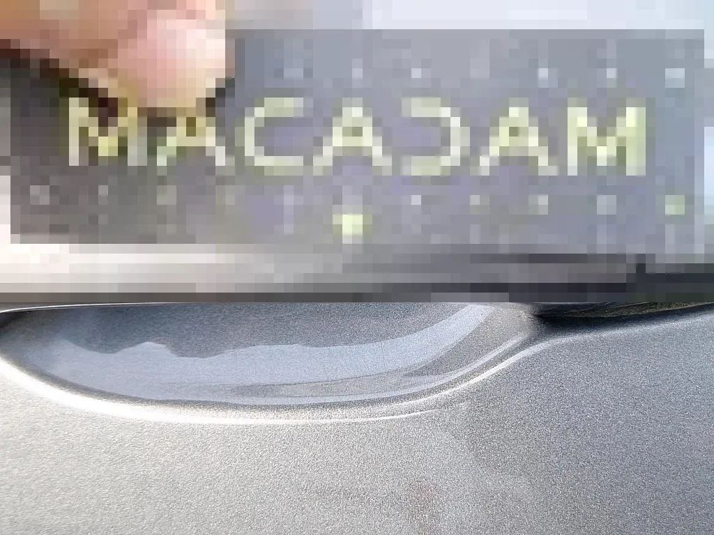 Dommages constatés