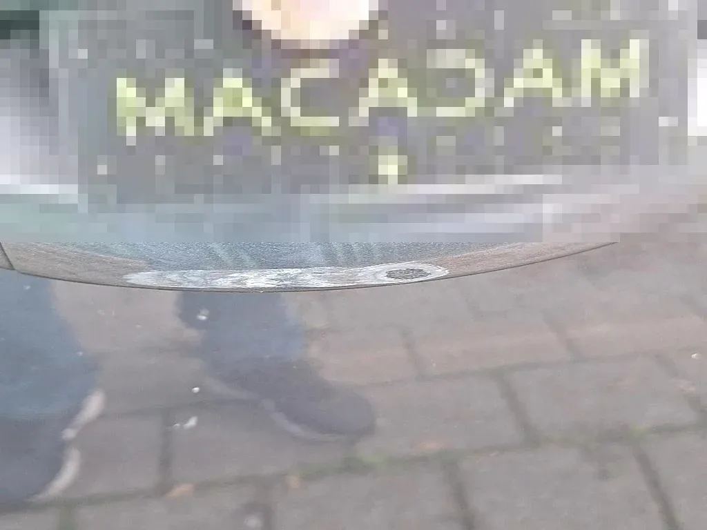 Dommages constatés
