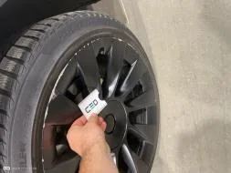 Reported damage