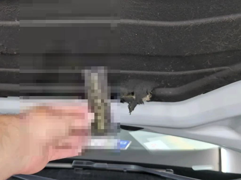 Reported damage