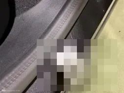 Vastgestelde schade