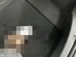 Vastgestelde schade