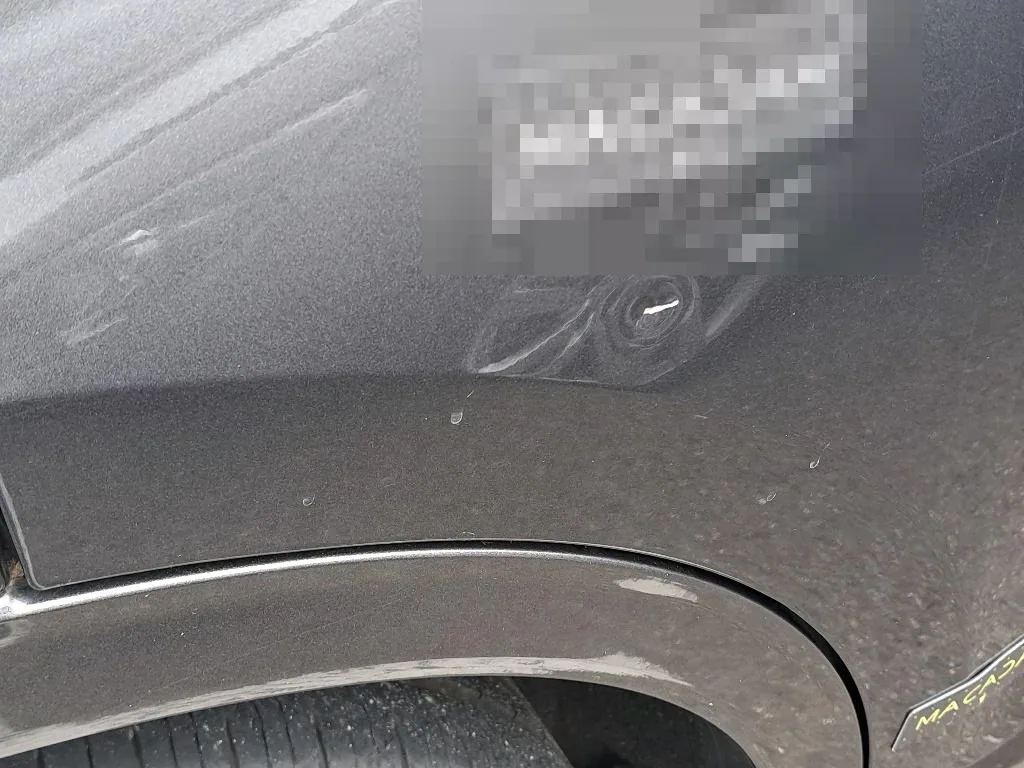 Vastgestelde schade