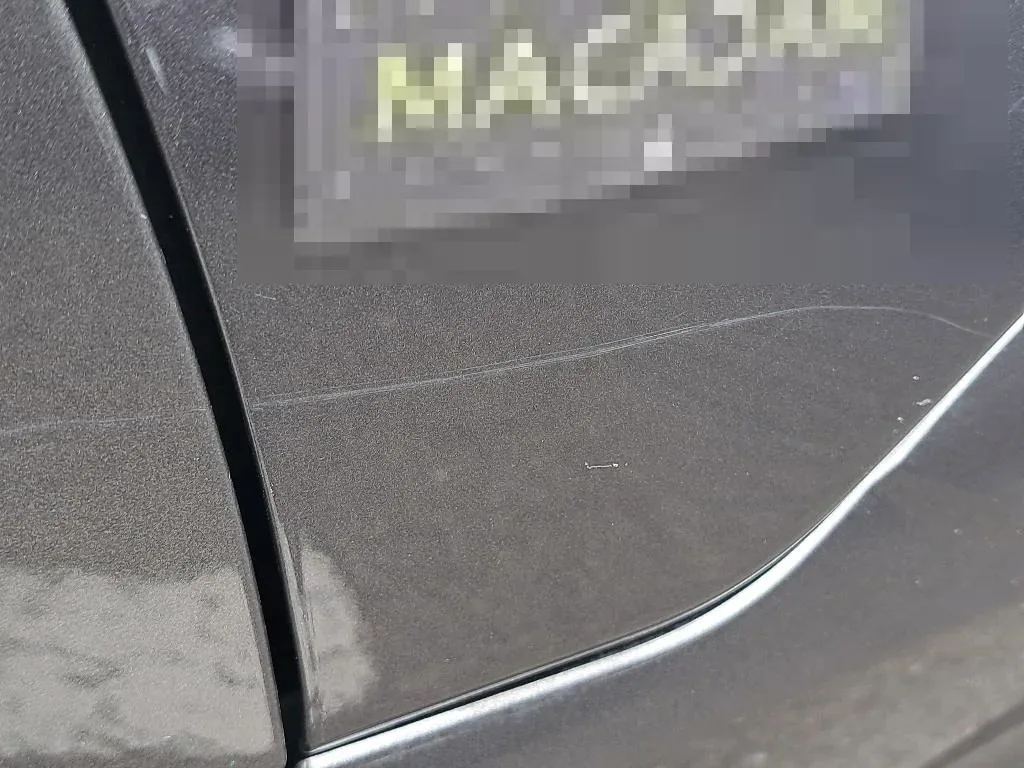 Vastgestelde schade
