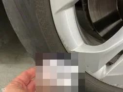 Reported damage