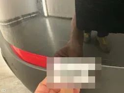 Reported damage