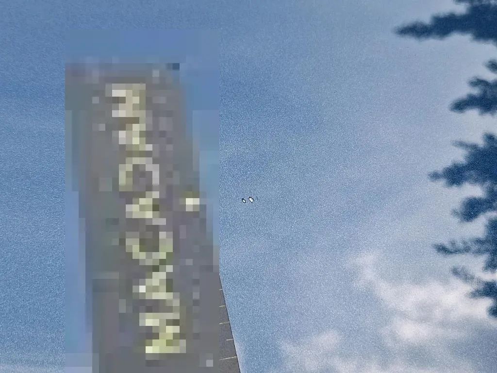 Reported damage