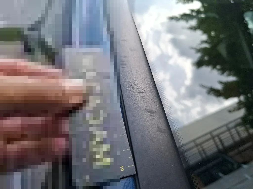 Reported damage