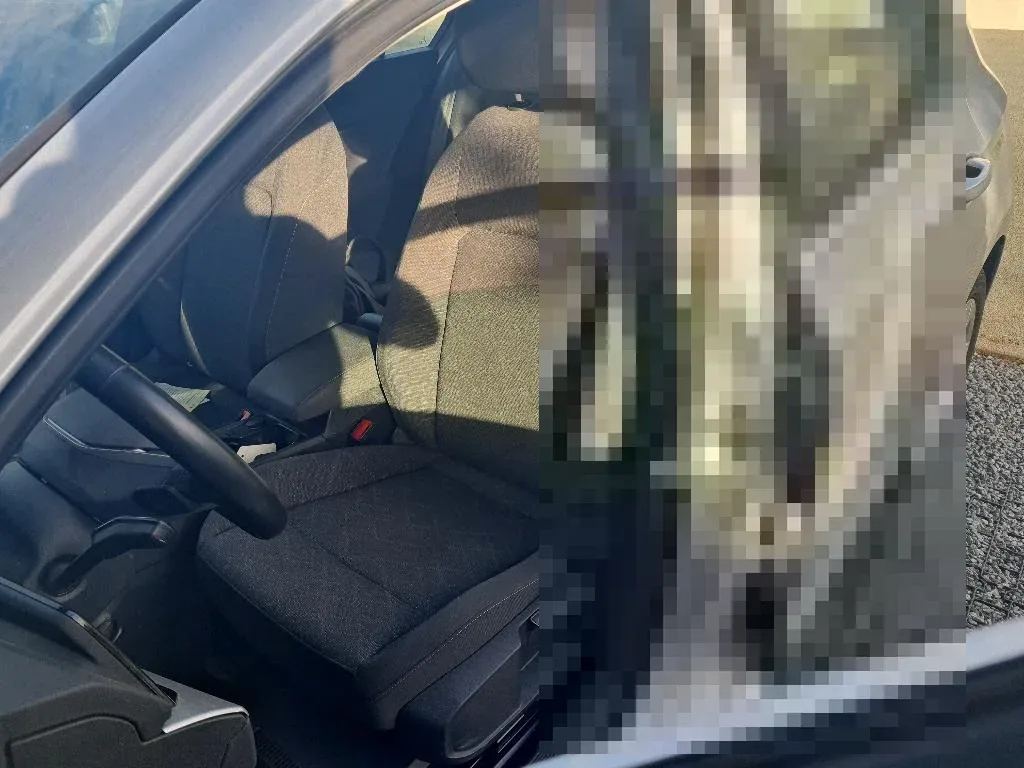 Vastgestelde schade